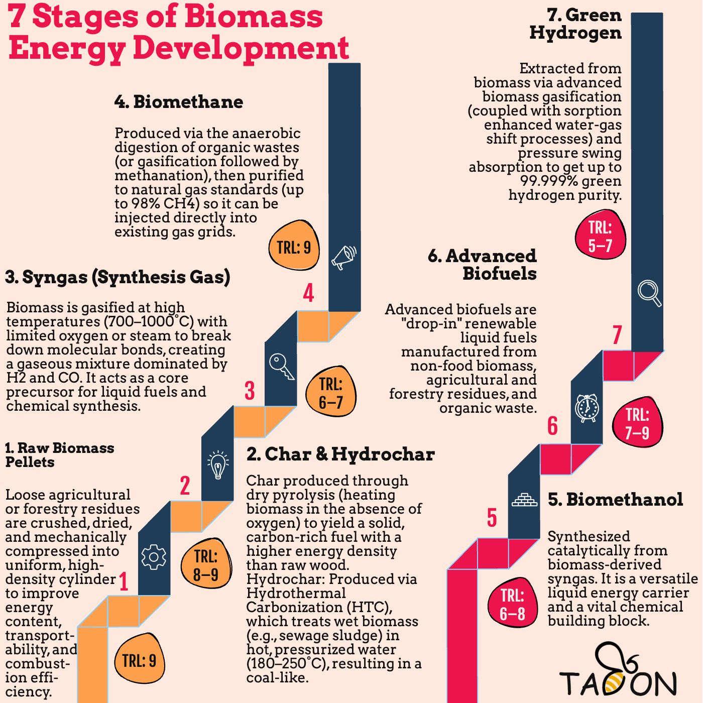 7 Stages of Biomass Energy Development